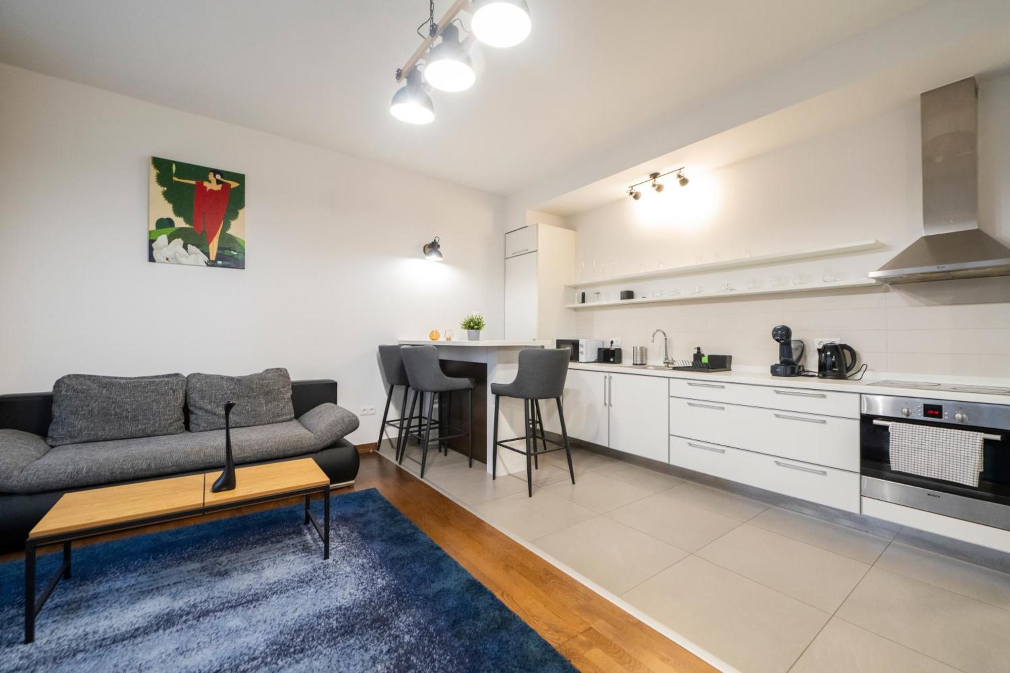 Swu Opera Apartment Budapest Room photo